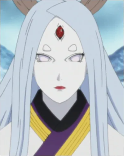 Quelle est l'histoire de la naissance du chakra ?