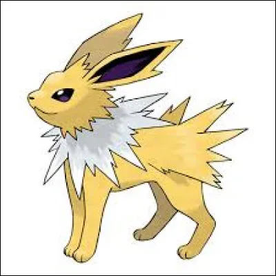 Quel est le nom de ce Pokémon ?