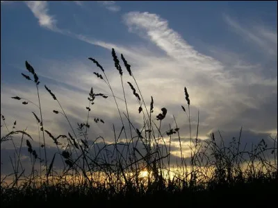 Quel chanteur a interprété le titre "Je suis un soir d'été" ?