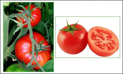 Comment s'appelle ce fruit ?