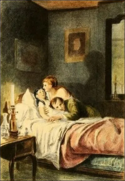 "Une Page d'amour" (1879) est un roman d'Emile Zola.