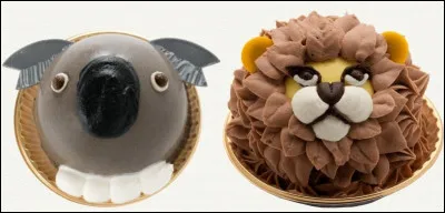 Trouve le nom de l'animal de droite !