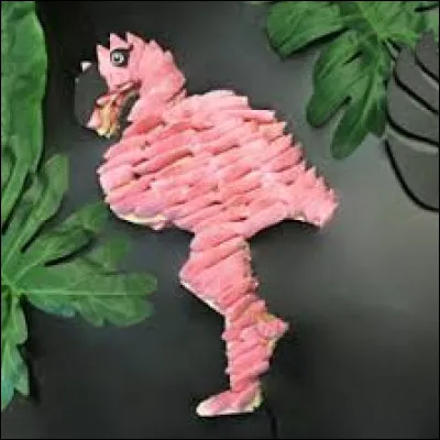 Tu peux en voir dans le sud de la France !