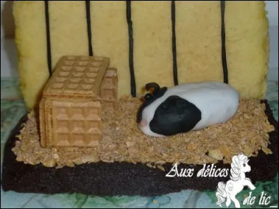 On l'appelle aussi cobaye !