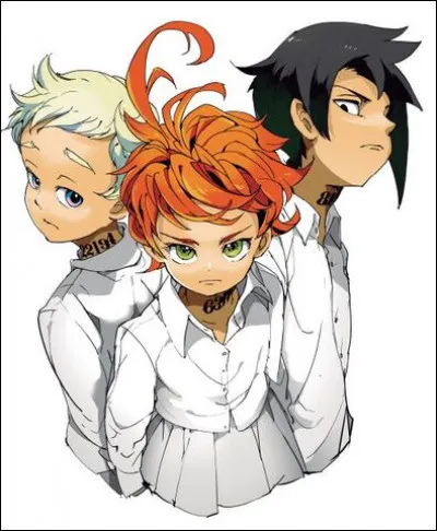 Dans ''The Promised Neverland'', quel est le numéro d'Emma ?