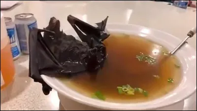 Quelle information est vraie selon toi ?