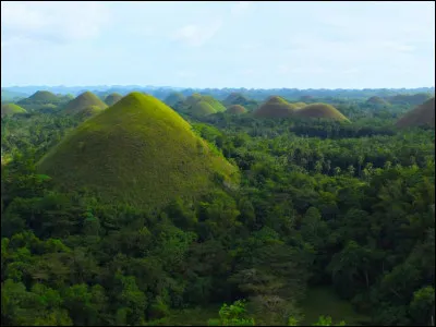 C'est en 1976 que la NASA a photographié de haut ces pyramides, au coeur de l'Amazonie : à quoi avons-nous à faire ?