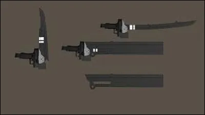 Comment s'appelle cette arme ?