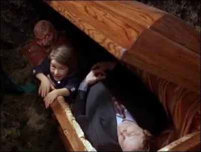 Cette image appartient  :