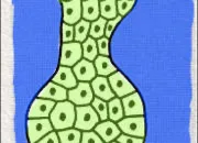 Quiz Les épithéliums glandulaires