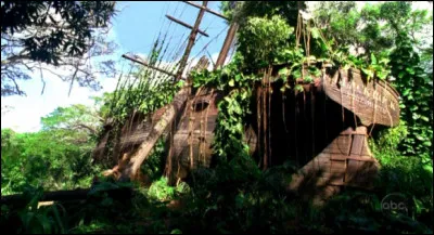 Quel animal apparaît au rocher noir le jour où Richard est arrivé sur l'île, lors de la saison 6 épisode 9 "Depuis la nuit des temps" ?