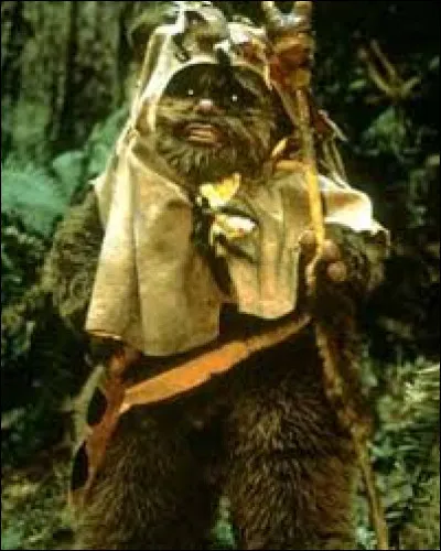 Comment s'appelle cet Ewok ?