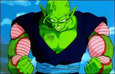 Piccolo est un célèbre personnage de la planète Namek, on le retrouve dans le manga :
