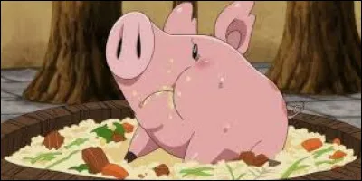 Hawk est le.........