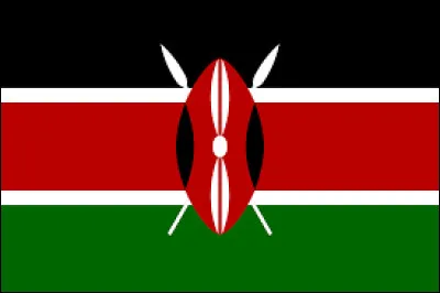 Quel pays représente ce drapeau ?