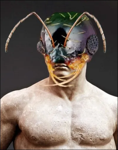 Guerriers mythiques de la guerre de Troie, les myrmidons étaient sous les ordres de quel commandant ?