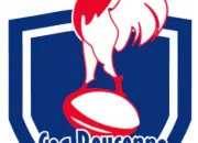 Quiz Coq Bouconne