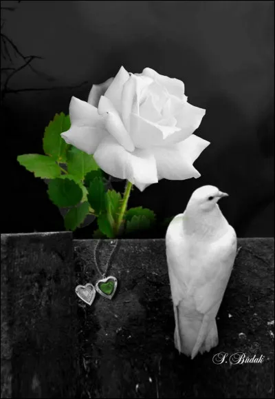 Quelle est la couleur liée à l'espérance ?