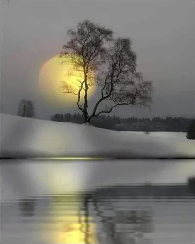 Qui chantait "Je te donne mes doutes et notre indicible espoir, les questions que les routes ont laissées dans l'histoire" dans sa chanson "Je te donne" ?