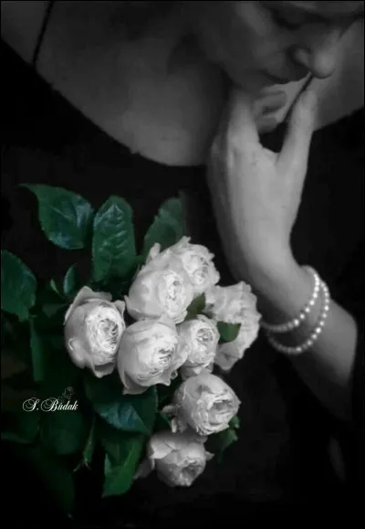 Qui chantait "Donnez-moi l'espoir, prêtez-moi un soir, juste pour elle et moi" ?