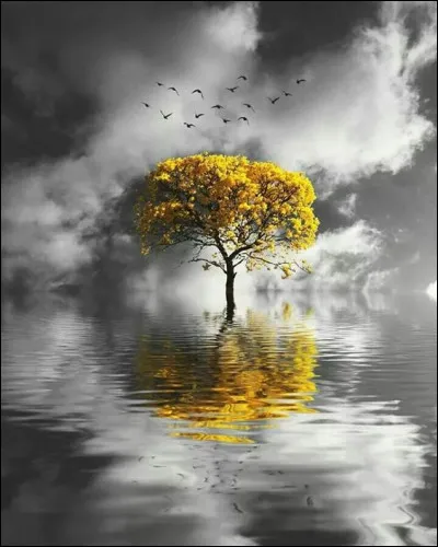 D'après un vieux proverbe, que fait l'espoir ?