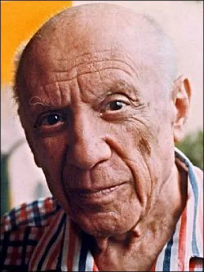 Son nom est Picasso, quel est son prénom ?