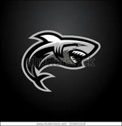 Quelle est cette marque ?