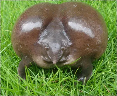 Qu'est-ce que c'est que cette horreur ? cette chose ne peut pas exister, alors est-ce qu'elle existe ou est-ce qu'elle n'existe pas ?