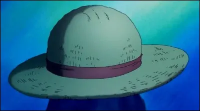 À part Luffy, qui a déjà porté ce fameux chapeau de paille ?