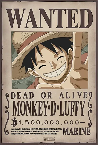 Sur la photo du tout premier avis de recherche de Luffy, qui voit-on en arrière-plan ?