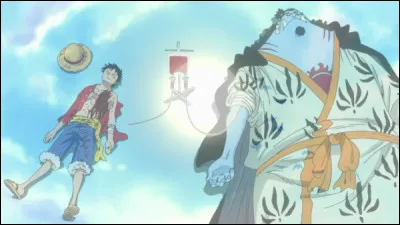 À quel groupe sanguin appartient Luffy ?