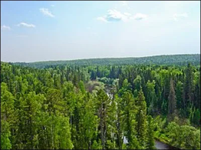 Quel est l'autre nom de la taïga ?