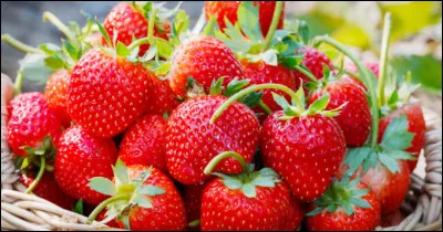 Océane achète des fraises à 1,10  la baquette de 250 grammes.
Océane donne un billet d'un billet de 10 .
Combien la caissière doit-elle rendre à Océane ?