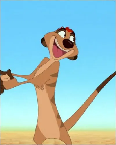 Comment s'appelle ce suricate ?