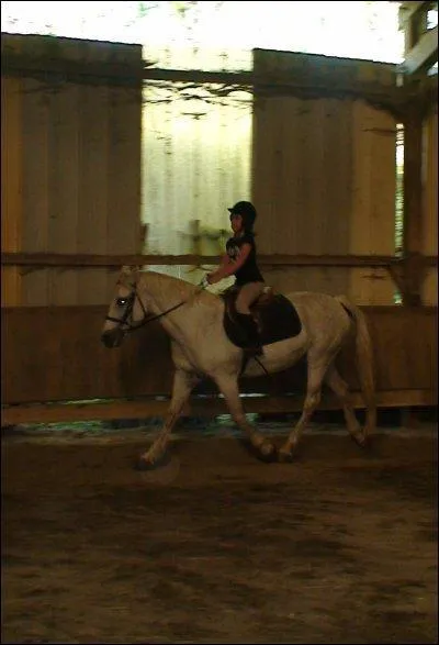 Quelle est cette allure ?