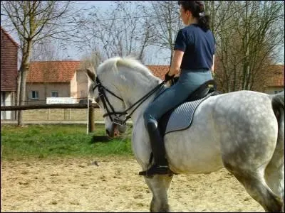 Quelle est cette couleur ?