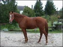 Quelle est cette couleur ?