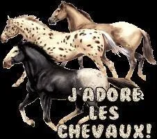 Quelle couleur n'existe pas ?