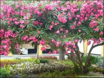 Au niveau de l'exposition, il faut généralement le mettre :