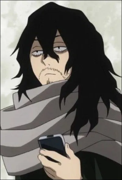 Qui est le professeur principal de la classe 1A ?