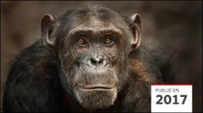 Quel est cet animal ?