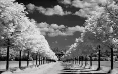 Qui a écrit "Le Colonel Chabert" ?