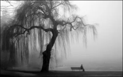 Qui a écrit "Le Lys dans la vallée" ?