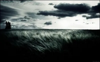 Qui a écrit "L'Institut" ?