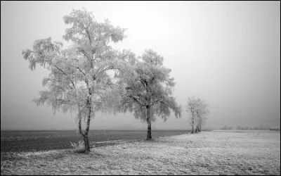 Qui a écrit "Le Prince heureux et autres contes" ?