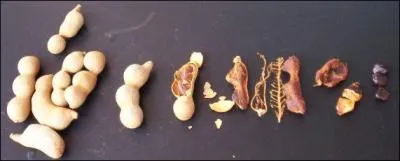 Quelle est cette pice ?