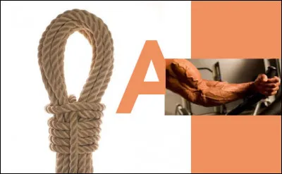 On y retrouve son latin, même sans cuisine !