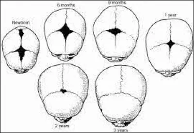 Du temps de mes parents, déjà, j'avais pu rencontrer ce grand (et vieil !) esprit que fut [qui donc ?]