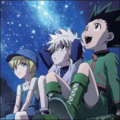 Qui a &eacute;crit Hunter x Hunter ?