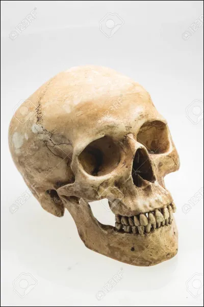 Drucker est n&eacute;...